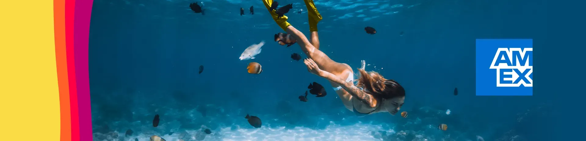 Obtén un descuento adicional al pagar en línea.